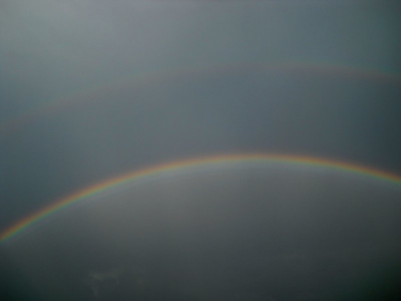afbeelding regenboog